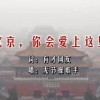 上打一动物